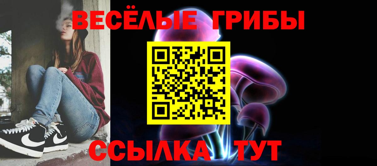 Псилоцибиновые грибы Cubensis Россия