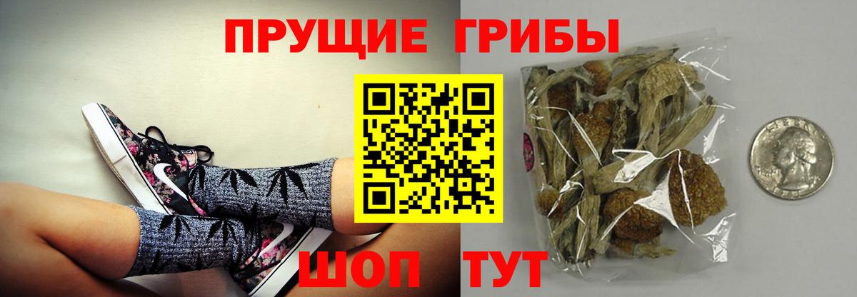 Россия  где продают наркотики  Вход с VPN  Галлюциногенные грибы прущие грибы 
